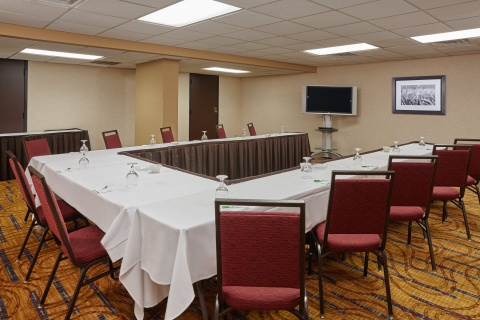 Holiday Inn & Suites Chicago-carol Stream (wheaton