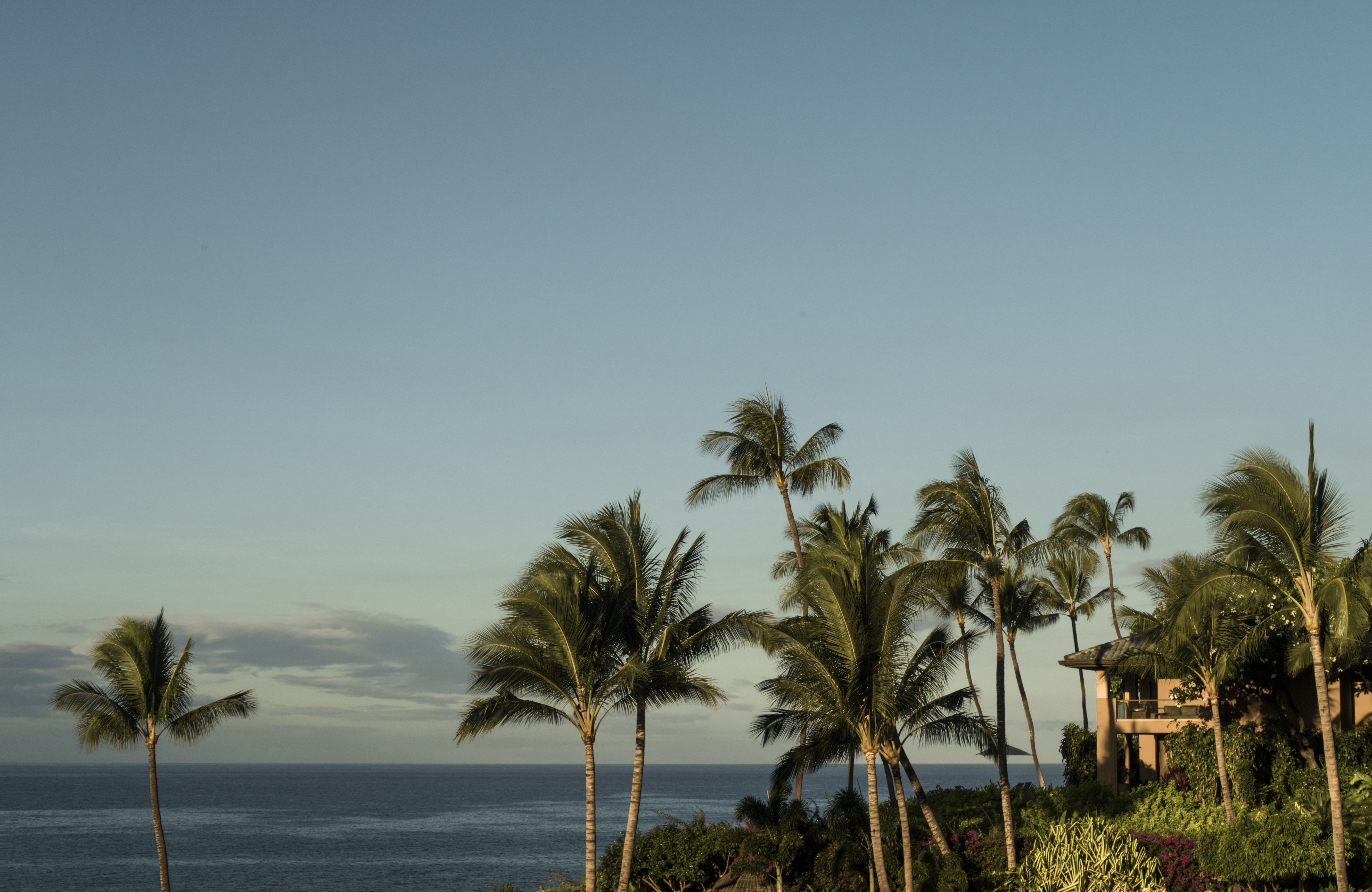 A Four Seasons Resort Lanai guest accommodation with the substantial Pacific cliff-top orientation and the dedicated contemporary Hawaiian luxury interior configuration evocative of the property's specific Manele Bay luxury identity