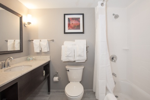 Holiday Inn Hotel Stes Downtown