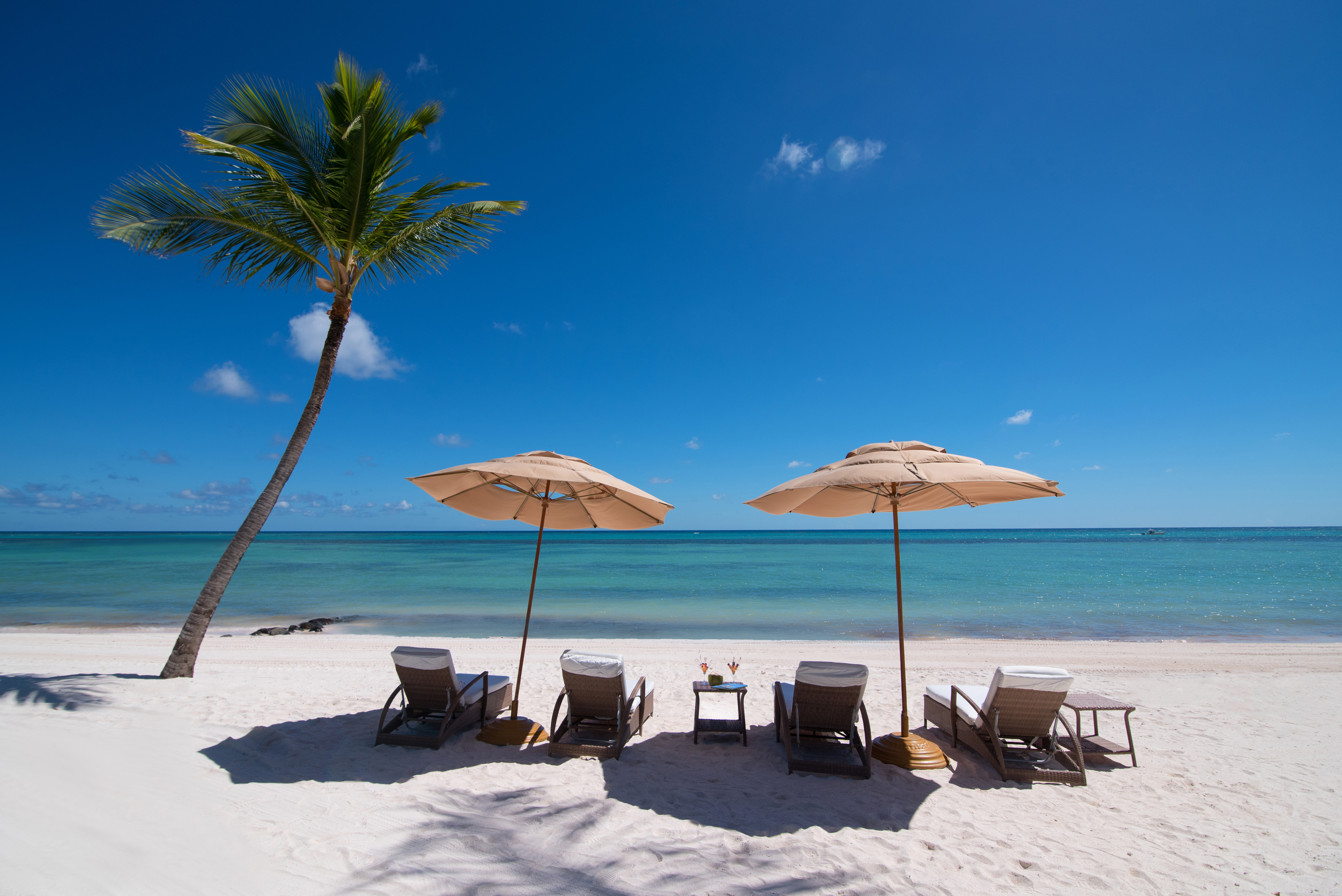 Tortuga Bay, imagen 5