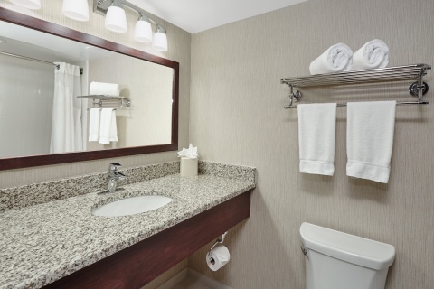 Holiday Inn & Suites Chicago-carol Stream (wheaton