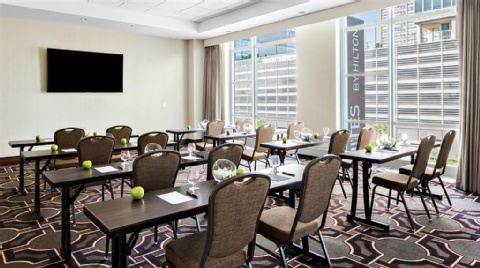Hilton Garden Inn Chicago Mccormick Place