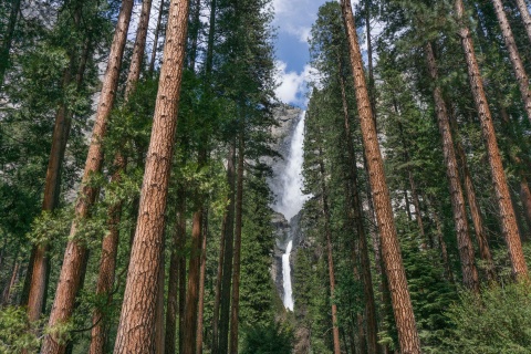 Holiday Inn Express & Suites Oakhurst-yosemite Par