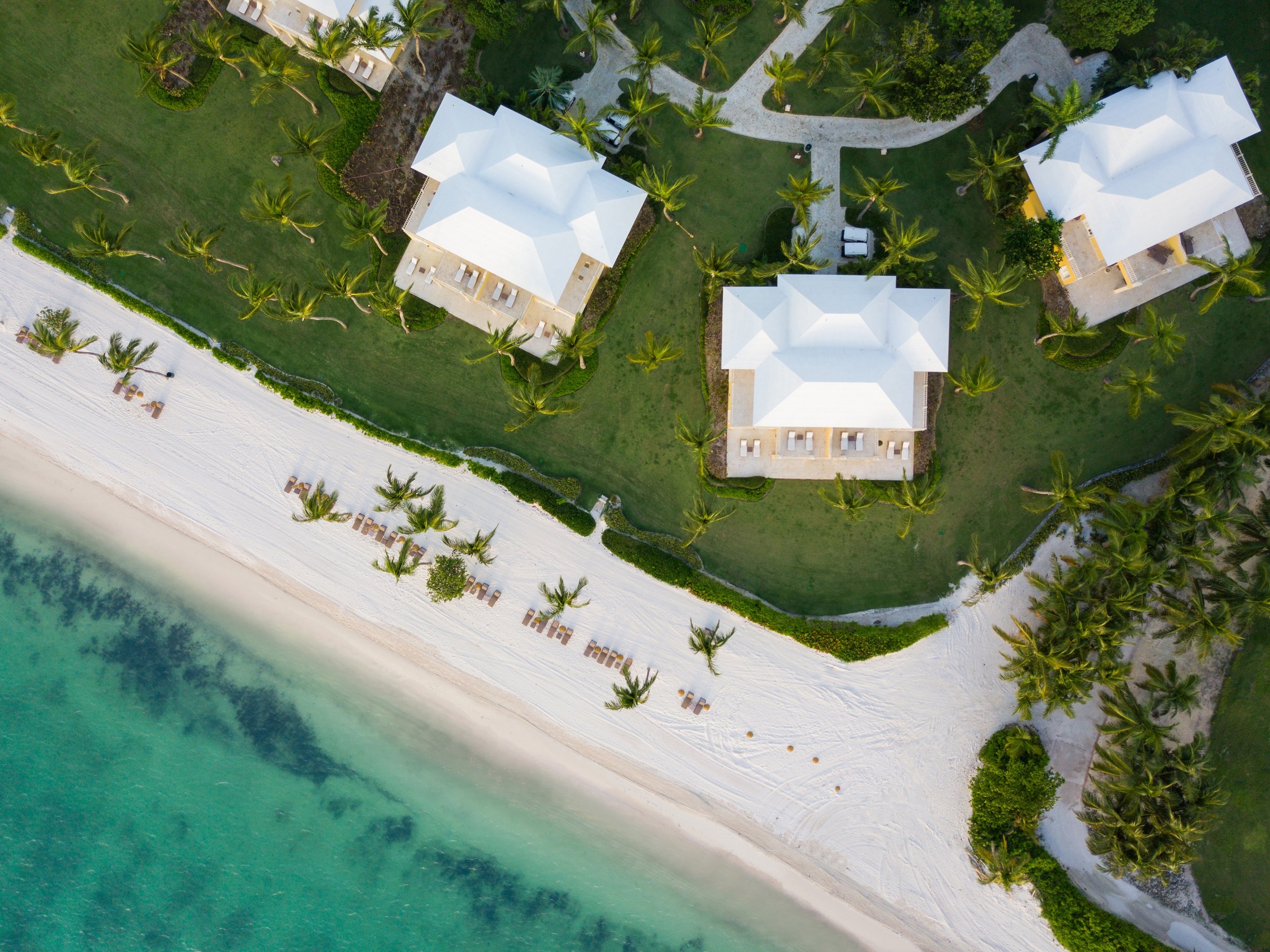 Tortuga Bay, imagen 2